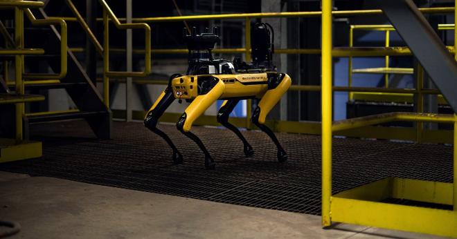 Роботы-собаки от Boston Dynamics вышли на подиум