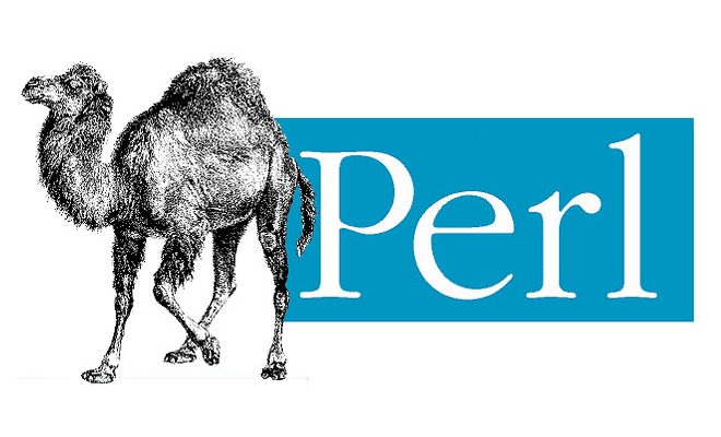 Домен Perl.com похищен у законного владельца